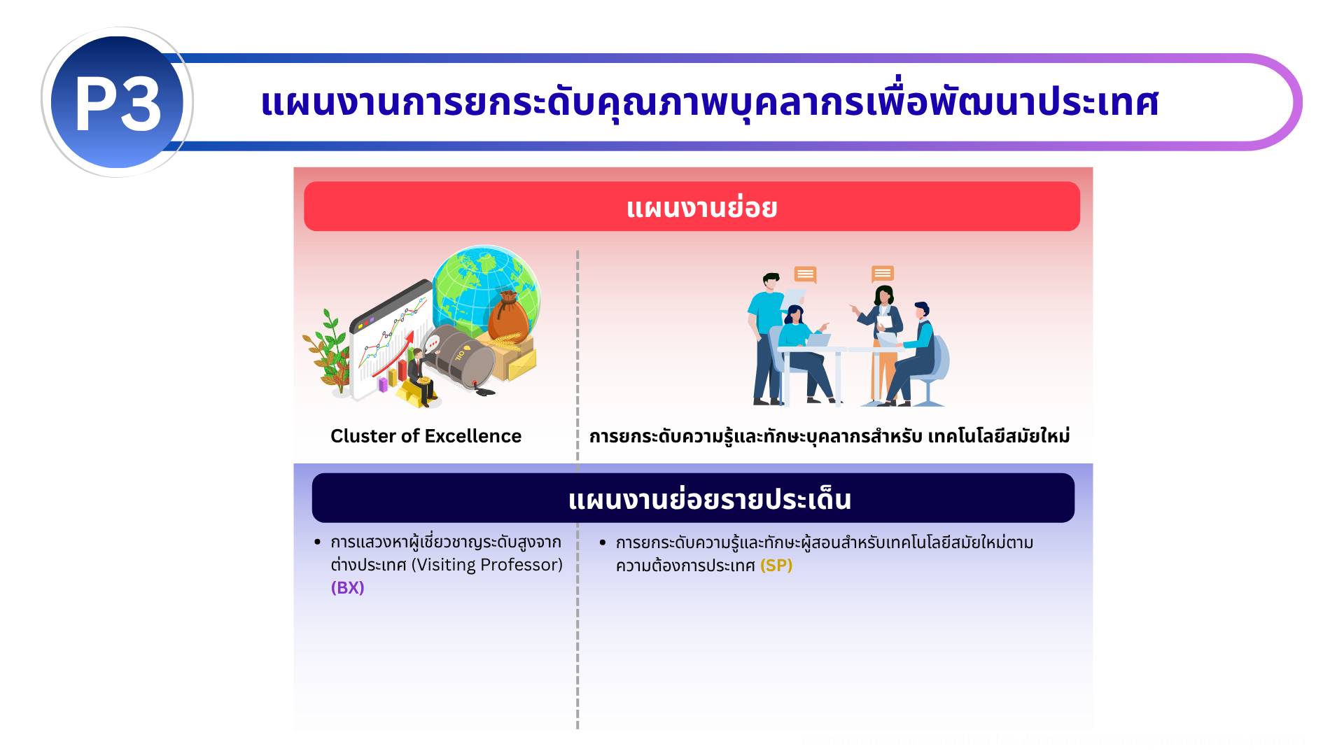 แผนงาน P3